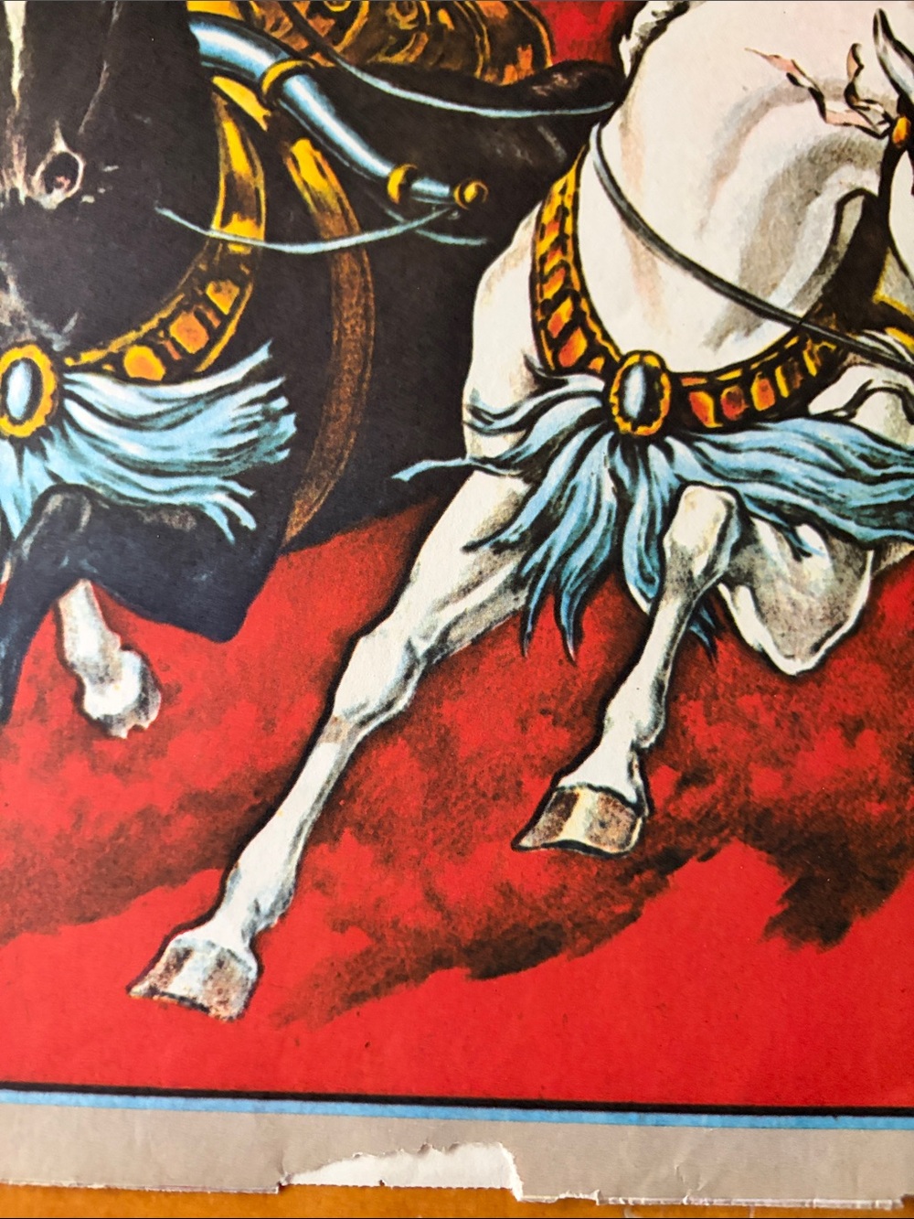 Red Equestrian Poster - Picture 8 of 10
